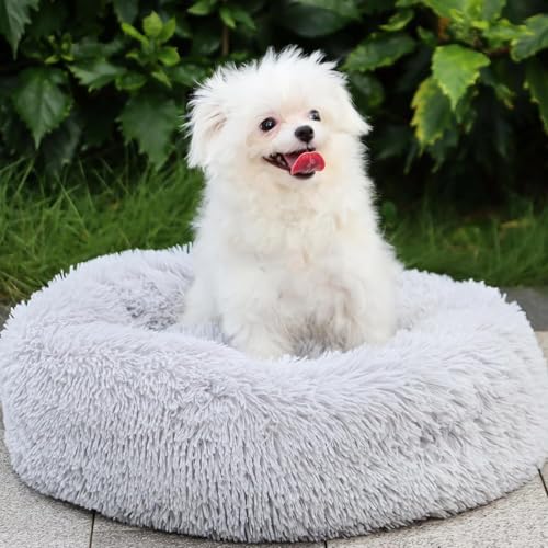 Camas Perros Grandes Marca MDDK DY