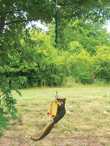 Cuerda elástica Squngee para comederos aves exteriores verde 4