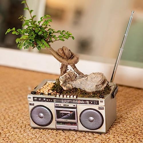 Leen4You Succulent Plant Pot Garden Planting Pots Cute Little Pots with Drain Hole for Plants Cactus Flower Perfect for Home Office Decor (Cassette Recorder Style)