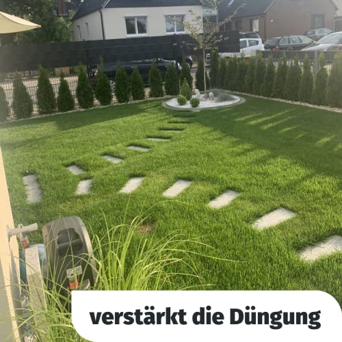 Rasenkalk und Gartenkalk Turbogrün 25kg für 250m²