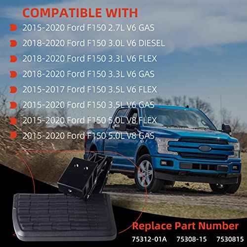 Aumzong 7531201A Bedstep Retractable Bumper Step，Compatible With 2015 2016 2017 2018 2019 2020 Ford F150，Replaces Rear Tailgate Bedsteps #TOP3