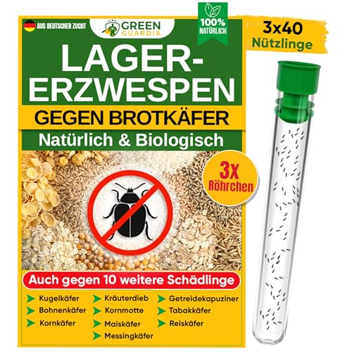 GREEN GUARDIA Lagererzwespen gegen Brotkäfer - 3 Röhrchen à 40 Nützlinge - effektiv Kornkäfer, Messingkäfer, Speckkäfer uvm. bekämpfen. Alternative zu Brotkäfer Falle und Kornkäfer Falle GREEN GUARDIA Lagererzwespen gegen Brotkäfer - 3 Röhrchen à 40 Nützlinge - effektiv Kornkäfer, Messingkäfer, Speckkäfer uvm. bekämpfen. Alternative zu Brotkäfer Falle und Kornkäfer Falle