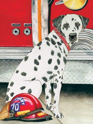 Dalmatian Blank Note Cards Boxed
