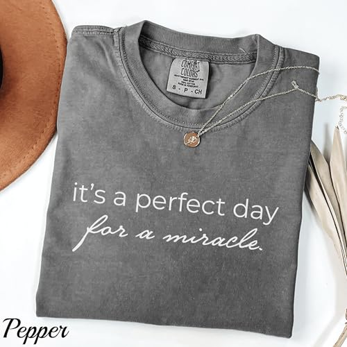 Comfort Colors® IVF Mom and Dad Gift Shirt, Transfer Day It’s A Perfect Day for A Miracle Shirt for Couples, IVF Strong Matching Tee White4