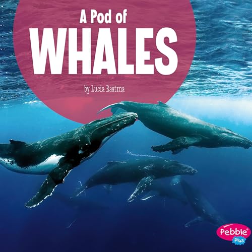 A Pod of Whales by Lucia Raatma episode artwork