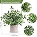 Der Rose 3 Pack Mini Potted Fake Plants Artificial Plastic Eucalyptus Plants Topiaries for Home Office Desk Farmhouse Shelf Room Bathroom Decor(Green)
