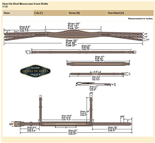 Henri de Rivel Plain Raised Bridle with Flash
