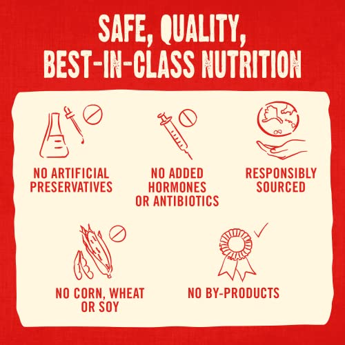 Stella & Chewy’s Freeze-Dried Raw Coated Dog Biscuits – Cage-Free Chicken Recipe – Protein Rich, Grain Free Dog & Puppy Treat – Great Snack For Training & Rewarding – 9 Oz Bag #TOP6