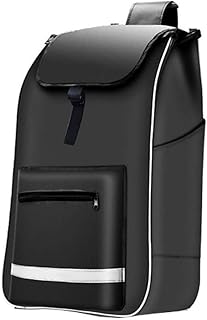 SH-gwtc Shopping Trolley Replacement Bag Shopping Cart Bag with Side Pockets Spare Bag for Trolleyï¼ŒOxford Cloth Waterproof Storage Bag (Size: 30x19x55cm) 31L (Color : D)