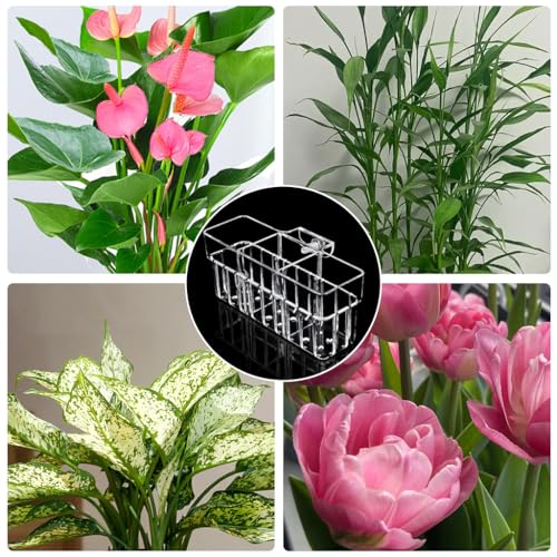 Image of Qpets Acrylic Hydroponic Basket, Hanging Plant Holder for Aquarium 18x6x8cm | Decorative Root Pot for Water Plants, Space-Saving Hanging Design, Ideal for Aquarium & Home Decor.