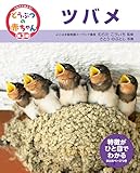 ツバメ２５　くらべてみよう！どうぶつの赤ちゃん