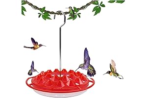 Mary's Hummingbird Feeders: A Haven for Hummingbirds