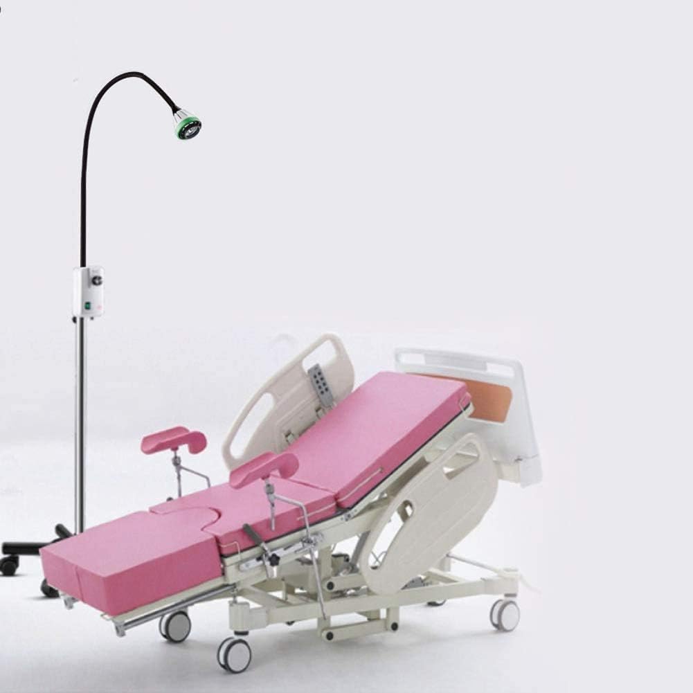 Lampada da Parete per Visita Medica Chirurgica A LED da 9 W, Lampada da Parete A LED per Visita Ortopedica E Odontoiatrica, Lampada da Visita Chirurgica per Chirurgia Otorinolaringoiatrica,