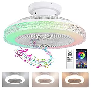 EIDISUNY 20″ Ceiling Fan with Remote Control & App, Low Profile Ceiling Fan with Lights, RGB Ceiling Fans with Bluetooth Speaker, Dimmable LED Enclosed Ceiling Fans for Bedroom Living Room Dining Room