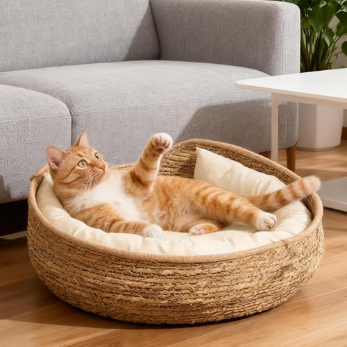 Rattan Katzenbett, 35cm Rund Katzenkorb, Handgefertigter Rattankorb Mit Baumwolle Kissen Plüsch, Für Alle Jahreszeiten
