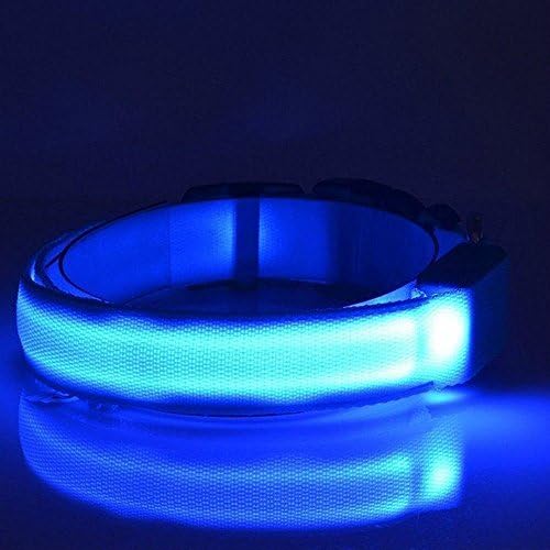 LUCKSTAR USB Charging Pet Collar - LED Glowing Flashing Nylon Dog Collar - 3 Flashing Modes Luminous Safety Collar for Night Walking (Include USB Cable) (XL, Blue)