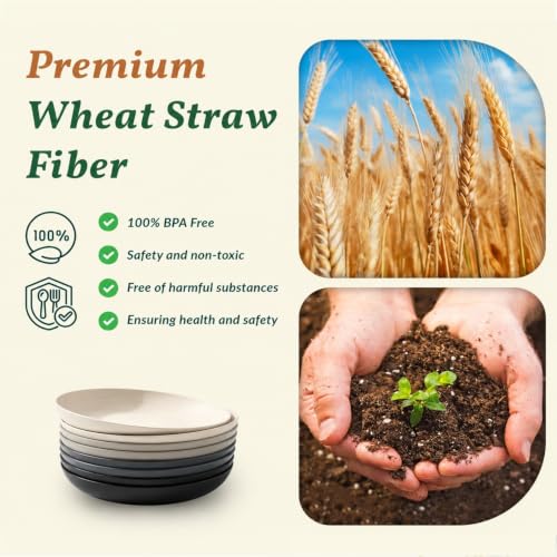 Image of Homienly Wheat Straw Plates Set of 8, Reusable Lightweight and Unbreakable 9 inch Plates, Premium Microwave and Dishwasher Safe Plates for Kitchen, Camping, Picnic, Party - GreyStone