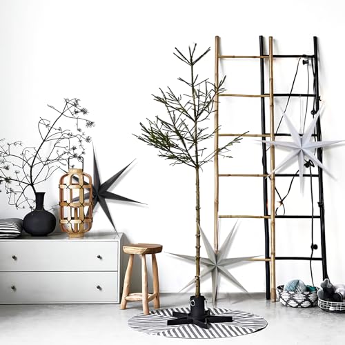 Blancos, Shoes Imagen adicional
