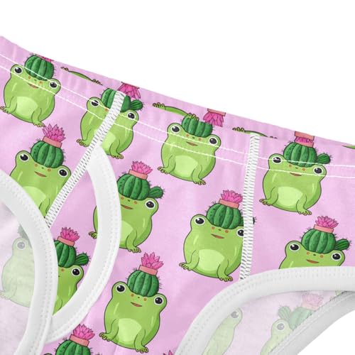 Cute Green Frogs Cactus Pot Toddler Boy's Underwear 2T 202c18044