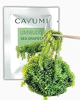 CAVUMI Sea Grapes 25gr / Meerestrauben als Algen Snack/Getrocknete Seealgen/Umibudo als knackiger Grüner Kaviar (25g_1er Pack)