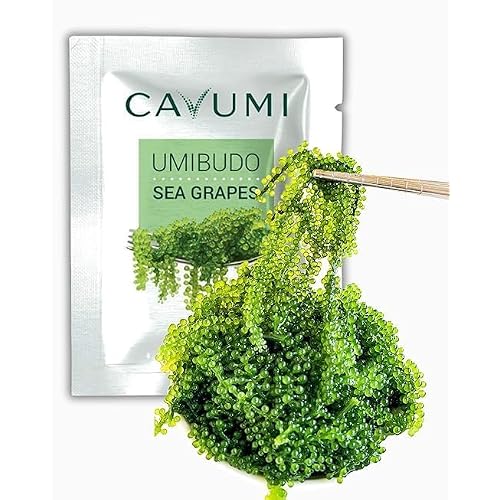 CAVUMI Sea Grapes 25gr / Meerestrauben als Algen Snack/Getrocknete Seealgen/Umibudo als knackiger Grüner Kaviar (25g_1er Pack)