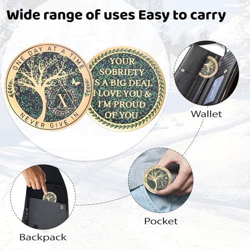 Image of LParkin 10 Year Sobriety Coin, Tree of Life Sobriety Coin, 10 Year AA Coin, Sobriety Gifts for Men and Women, 10 Year Sober Anniversary Token, Alcoholics Anonymous Medallion
