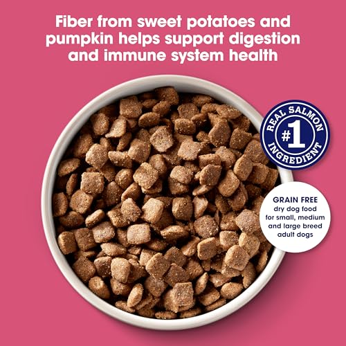 Nature's Recipe Grain Free Easy to Digest Salmon, Sweet Potato and Pumpkin Recipe Dry Dog Food, 4-Pound - Image 3