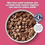 Nature's Recipe Grain Free Dry Dog Food, Salmon, Sweet Potato & Pumpkin Recipe, 4 lb. Bag - Image 3