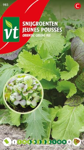Lechuga Oriental Mix Semillas - Una mezcla picante de diferentes verduras de hoja oriental