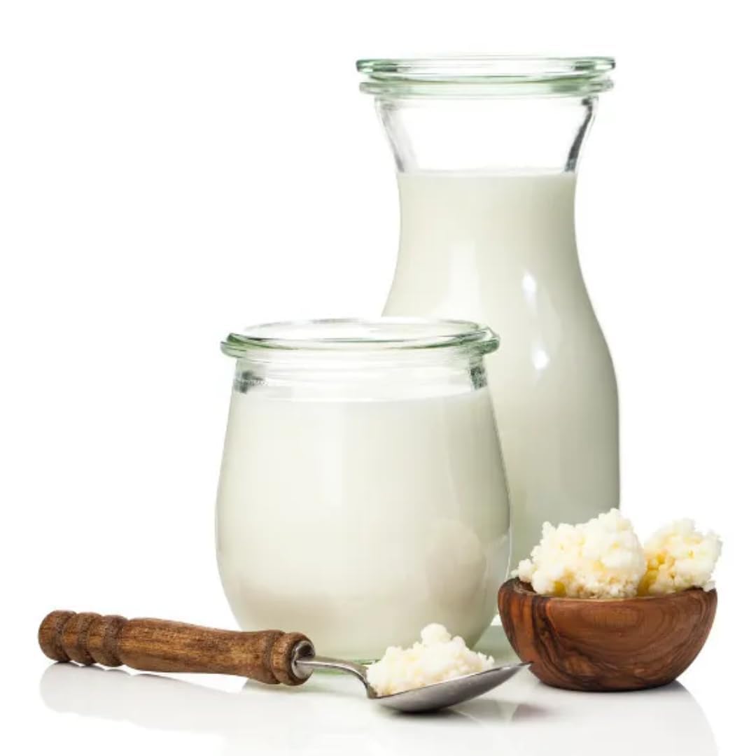 PUFAI Bundle – Kefir Pur 500 g x 12 | Fermentiertes Milchgetränk natur | Kühlpflichtiges Frischeprodukt im Vorratspack