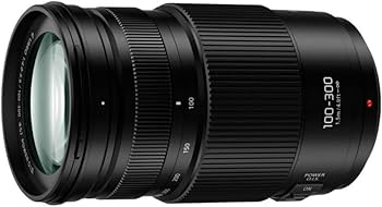 Amazon.com : PANASONIC LUMIX G II Vario Lens, 100-300MM