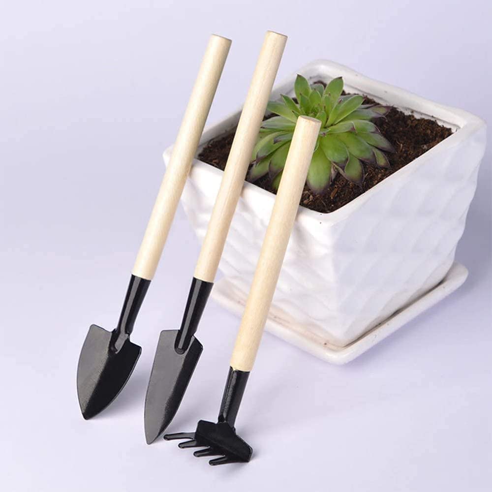 CHICAN Mini Garten Werkzeuge Set – 3-teilig Für Sukkulenten & Bonsai