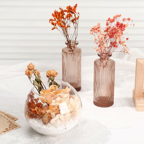 Flores secas naturales para decoración boho y manualidades miniatura 5