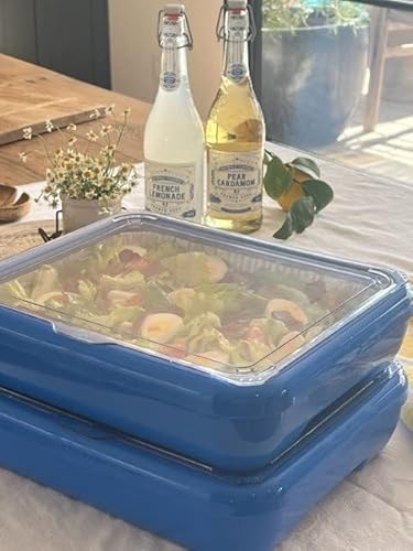 Fancy Panz Premium Dress Up & Protect Your Foil Pan, Made In Usa. Hot/Cold Gel Pack, One Half Sized Foil Pan & Serving Spoon Included. Stackable For Easy Travel. (Denim Blue) #TOP6