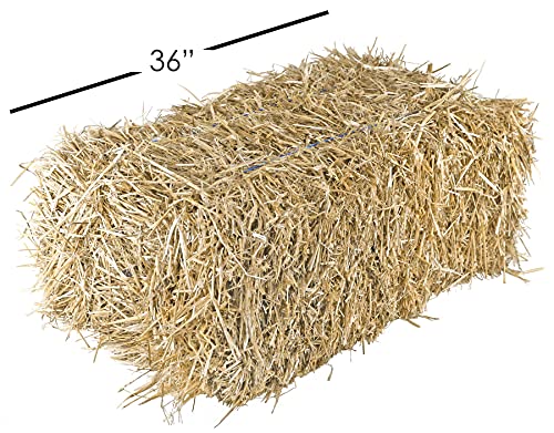Garden Elements Straw Bale by Shady Creek Farm, Multi-Use for Farm & Home, Large Straw Bale, 36"