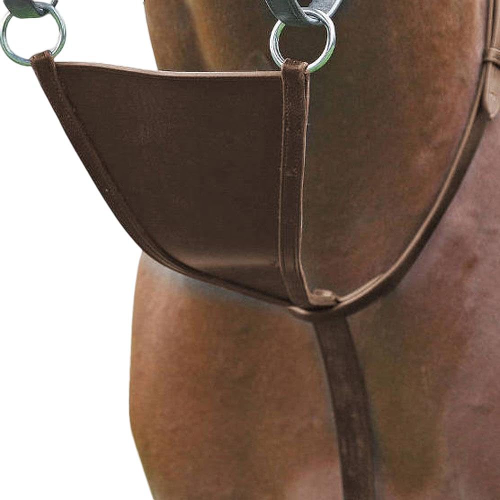 Shires - Bavaglino Martingales