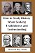 How to Study History when Seeking Truthfulness and Understanding: Lessons Learned from Outside of Academia