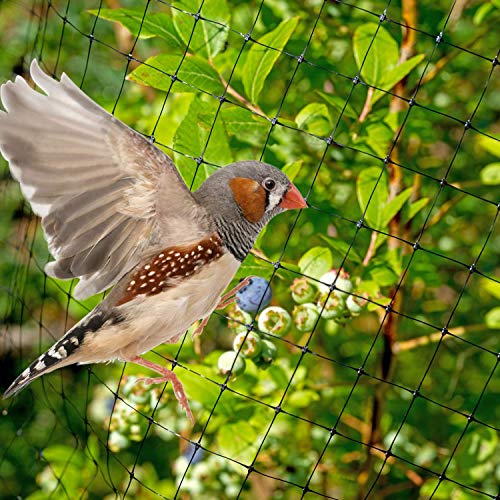 Vogelnet voor Tuin, 2 x 20 m Op zwaar werk berekend PP-materiaal