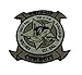 VMFA-112 Cowboys 2019 Green Patch â€“With Hook and Loop