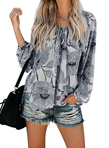 HOTAPEI Summer Formal Cute Long Sleeve Floral Boho Bohemian Chiffon Peasant Deep Split V Neck Loose Blouses for Women Fashion 2020 Plus Size Sky Blue US 12 14