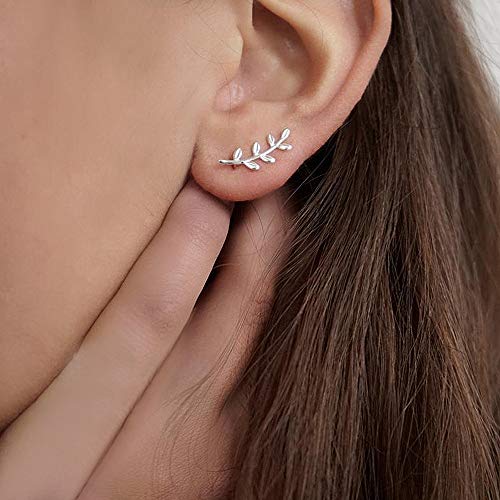 Cute Leaf Stud 925 Sterling Silver Earrings for Women Hypoallergenic 14K Gold Plated Small Olive Leaves Branch Cartilage Ear Climbers Studs Fashion Minimalist Prom Jewelry2
