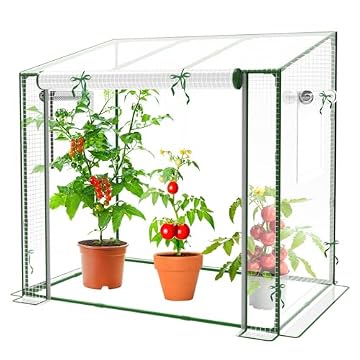 greenhouse windows for house