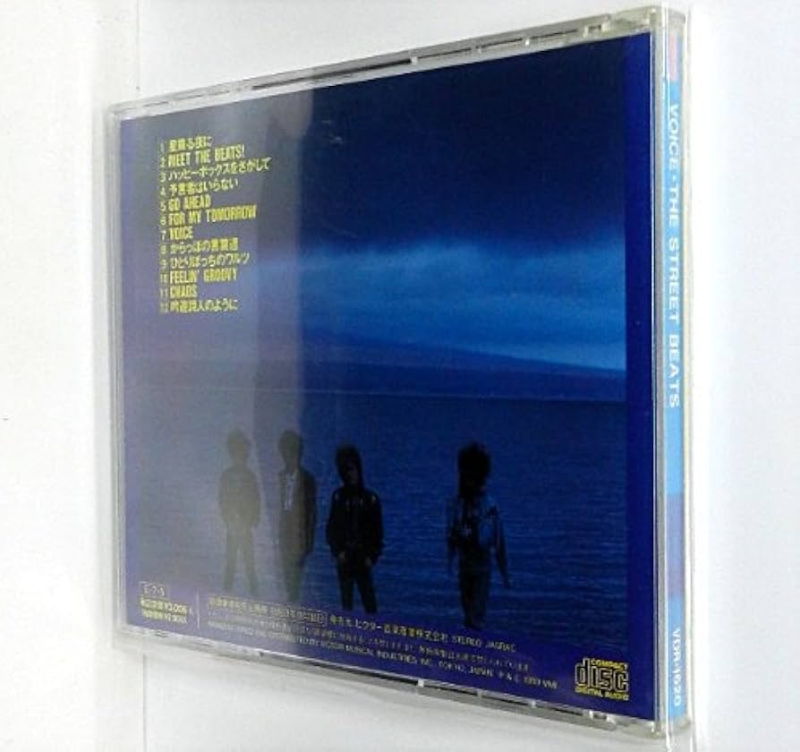 希少！『VOICE』THE STREET BEATS アナログLP 希少！『VOICE』THE STREET BEATS アナログLP 希少！『VOICE
