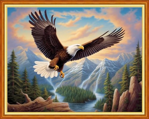 Image of DMCVIVR Stamped Cross Stitch Kits for Beginners Adults Needlepoint Kits for Beginners Embroidery Kits for Adults Crossstitch Kit for Beginners 11CT-Eagle Scenery 16x20 inchs