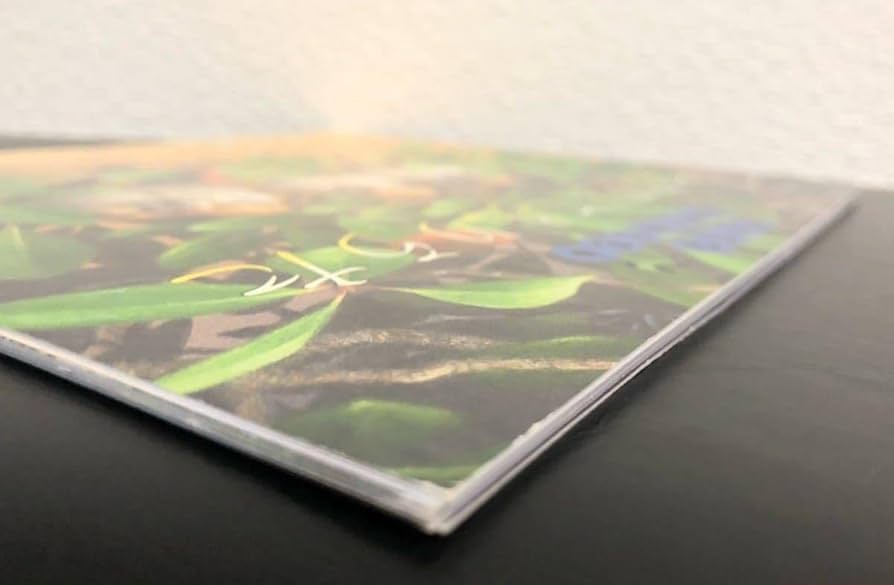 かがくのとも　身近な鳥　とりのこもりうた　すずめ　アオサギ　福音館 かがくのとも 身近な鳥 とりのこもりうた すずめ アオサギ 福音