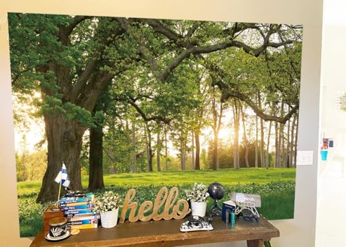 Fondo Fotográfico Naturaleza Bosque 7x5FT Jardín Verde miniatura 4