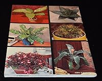 101 Trouble Free Houseplants For Modern Living B00908JS38 Book Cover