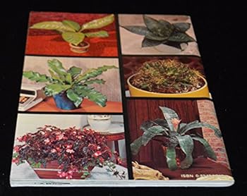 Paperback 101 Trouble Free Houseplants For Modern Living Book