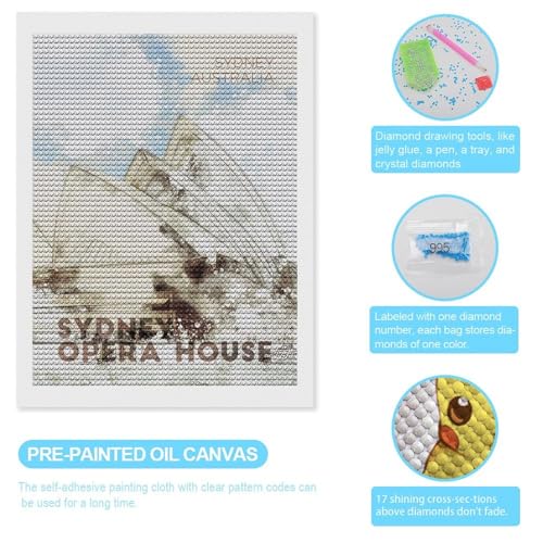 Loisir créatif adulte kit peinture diamant Opéra de Sydney complet sans stress