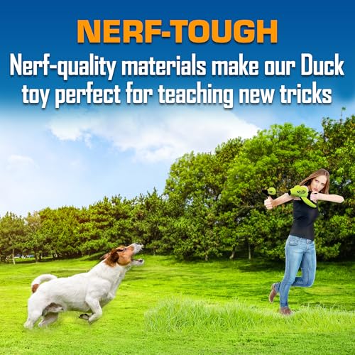 Nerf Dog Große Ente aus Nylon, interaktives Design, Grün